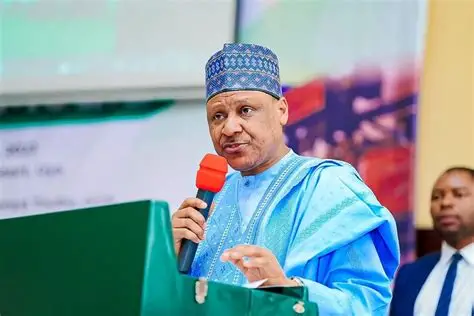 Niger: Gwamnatin Tarayya Ta Ce Ba Za Ta Kare Duk Wanda Aka Samu Da Laifi Kan Mutuwar Masu Hakar Ma’adinai Ba Minister Information 1783363997